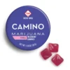 Camino Wild Berry Gummies Australia