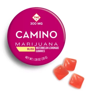 Buy Camino Watermelon Lemonade Bliss
