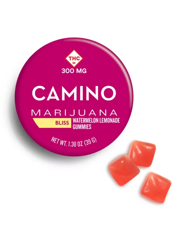 Buy Camino Watermelon Lemonade Bliss