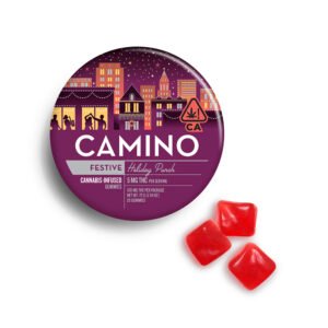 Buy Camino Holiday Punch Perth