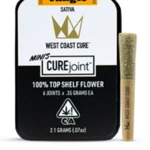 Where to buy Tangie preroll in Sydney