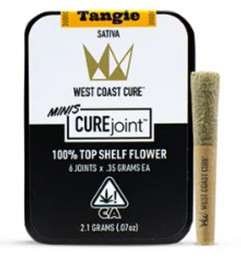 Where to buy Tangie preroll in Sydney